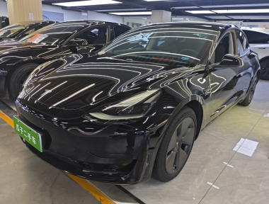 Tesla Model 3 2021 Tesla Model 3 2021 immagine di auto