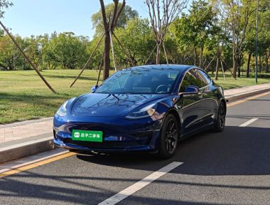 Tesla Model 3 2020 car image 