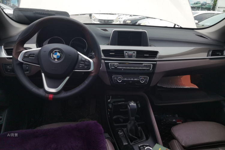 BMW X1 2019 car image #11