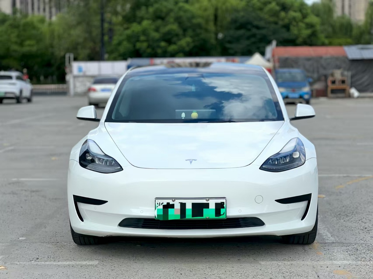 Tesla Model 3 2022 #2 Tesla Model 3 2022 car image #2