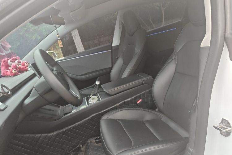 Tesla Model 3 2024 #15 Tesla Model 3 2024 car image #15