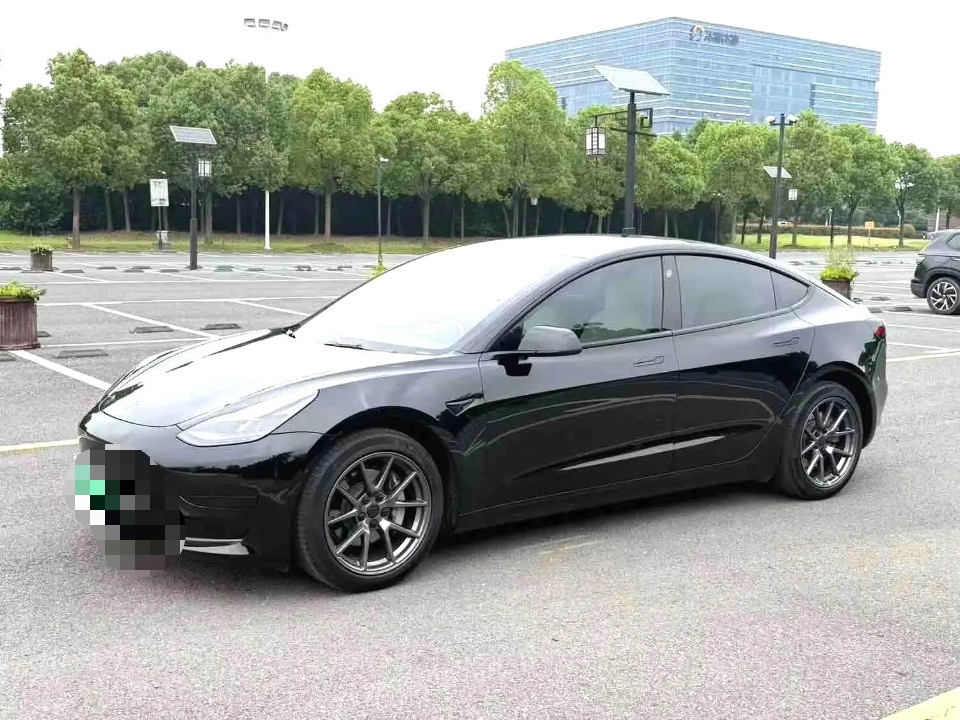 Tesla Model 3 2023 Tesla Model 3 2023 car image