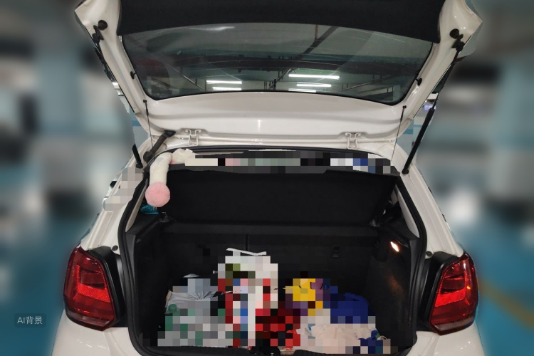 Volkswagen Polo 2017 car image #21