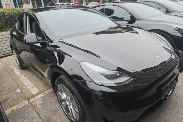 Tesla Model Y 2023 #4 Tesla Model Y 2023 car image #4