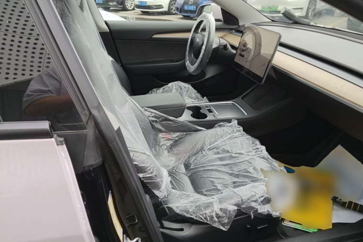 Tesla Model 3 2021 #24 Tesla Model 3 2021 immagine di auto #24