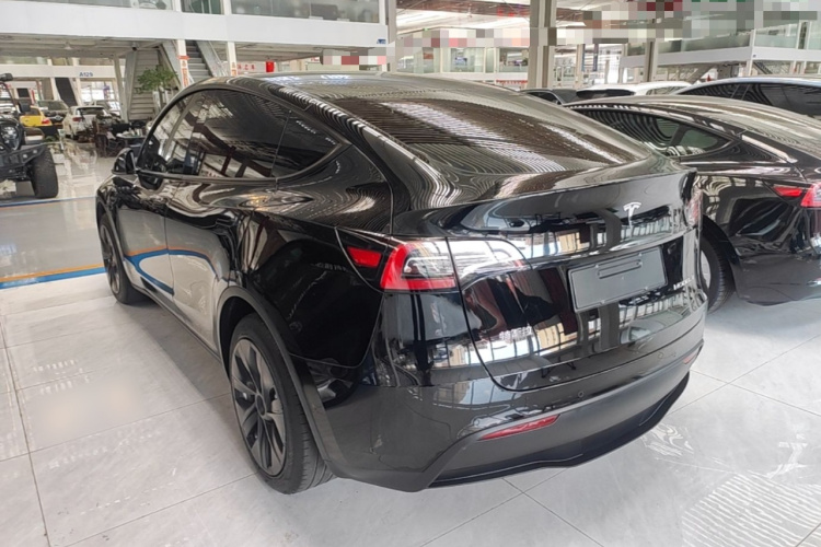Tesla Model Y 2023 #5 Tesla Model Y 2023 car image #5