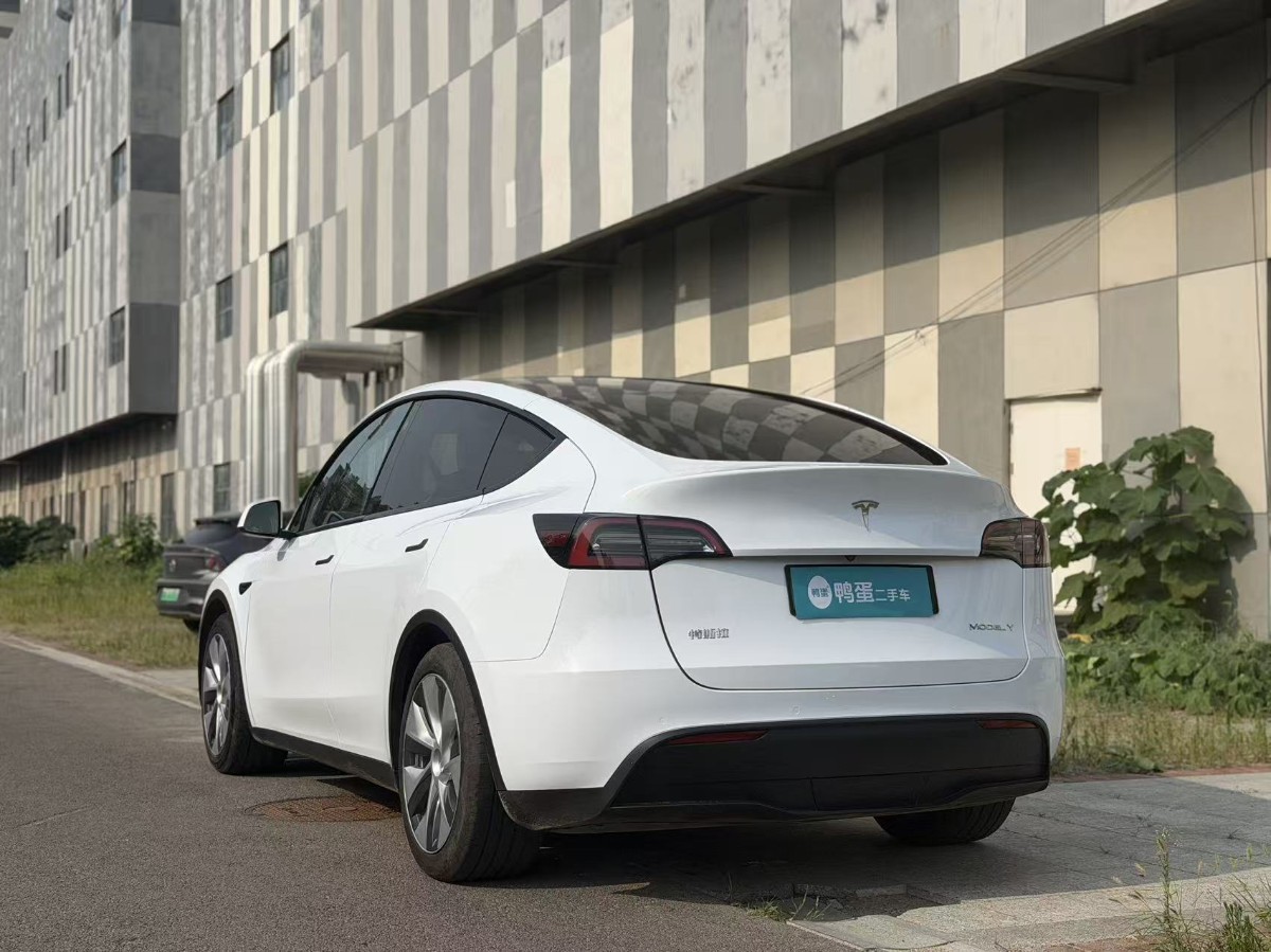 Tesla Model Y 2021 car image #4