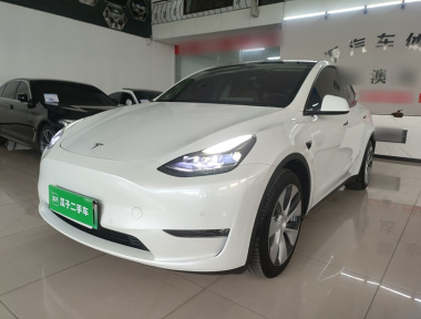 Tesla Model Y 2021 Tesla Model Y 2021 car image