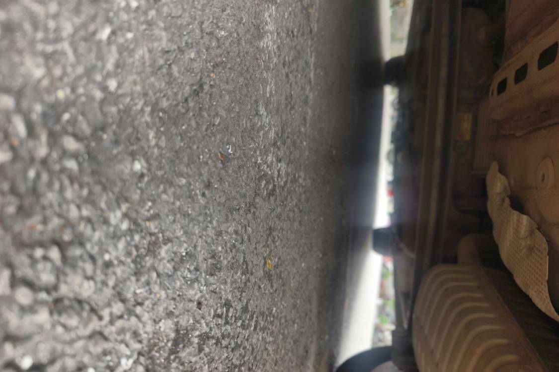 2021 #14 2021 immagine di auto #14