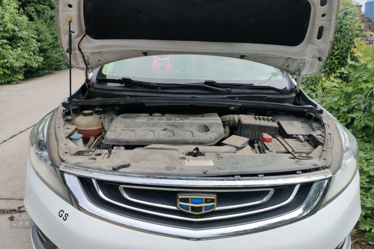 GEELY Emgrand GS 2016 car image #22