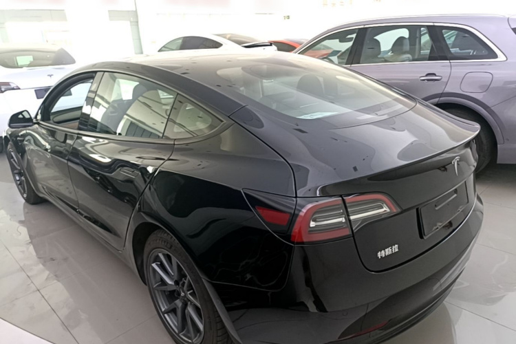 Tesla Model 3 2021 #5 Tesla Model 3 2021 car image #5