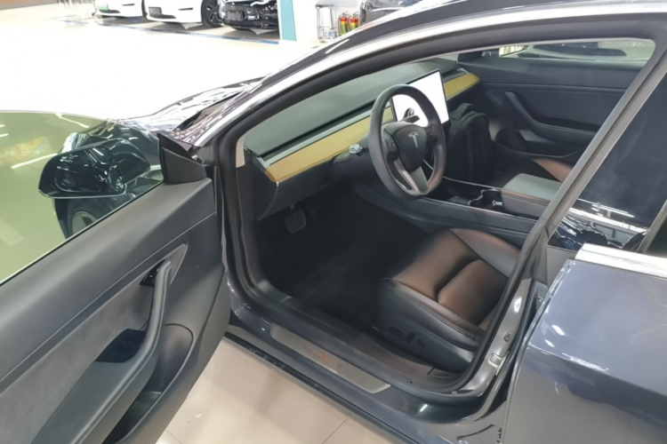 Tesla Model 3 2020 car image #16