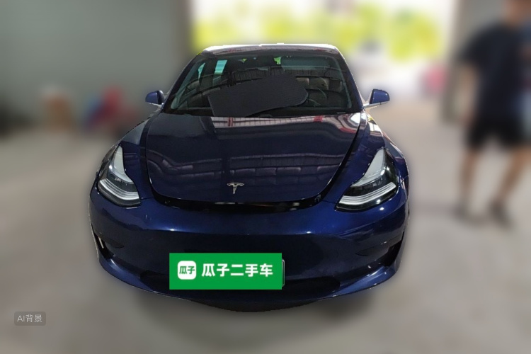 Tesla Model 3 2020 car image #3