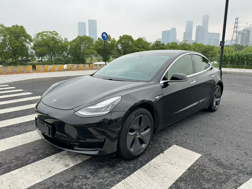 Tesla Model 3 2020 Tesla Model 3 2020 car image