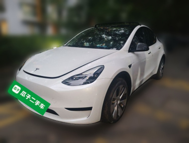 Tesla Model Y 2022 Tesla Model Y 2022 car image