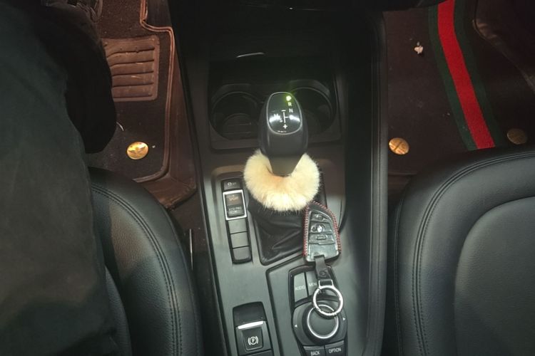 BMW X1 2017 car image #14