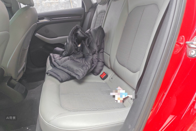 奥迪 奥迪A3 2018 汽车图片 #19