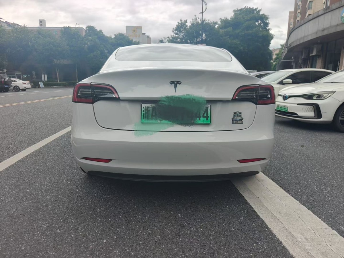 Tesla Model 3 2021 car image #6