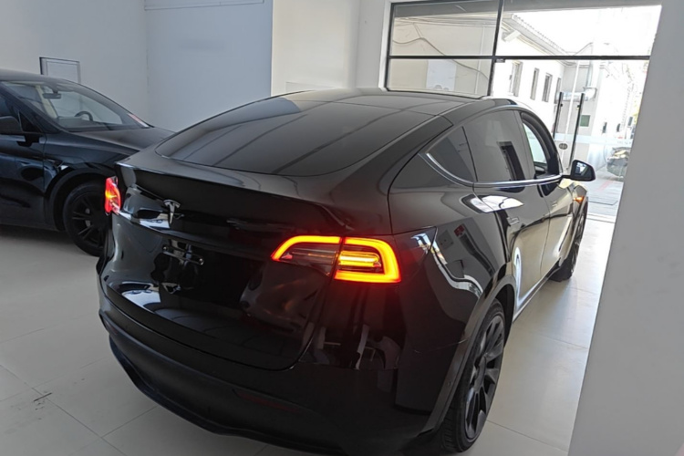 Tesla Model Y 2021 car image #7