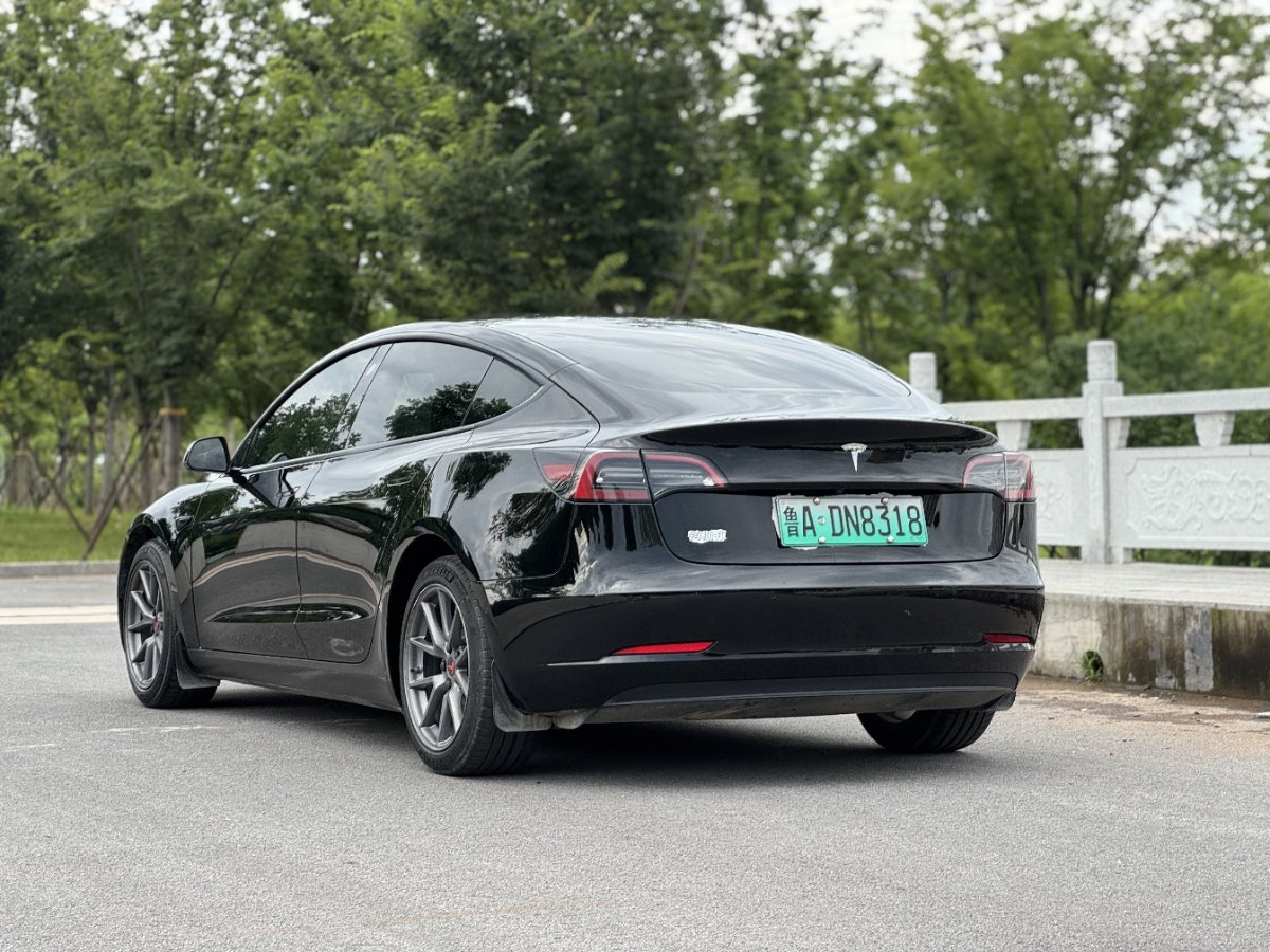 Tesla Model 3 2023 #7 Tesla Model 3 2023 car image #7