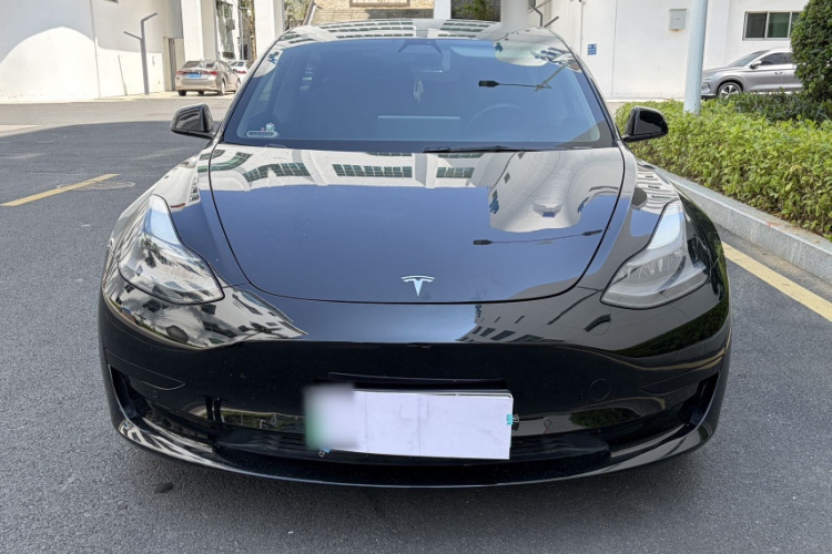 Tesla Model 3 2021 car image #5