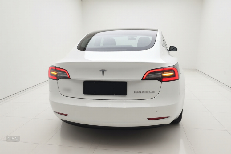 Tesla Model 3 2021 car image #6