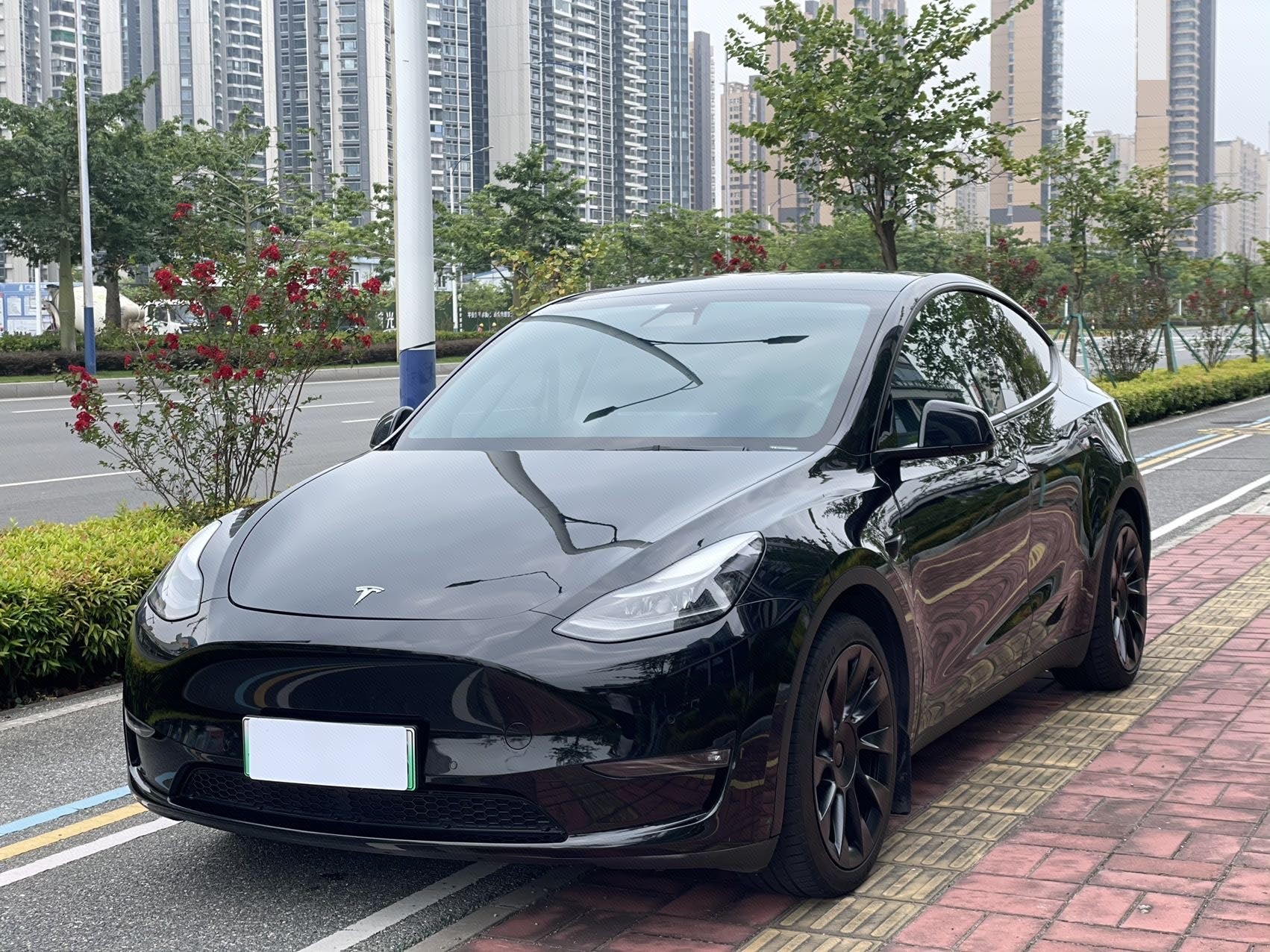 Tesla Model Y 2021 Tesla Model Y 2021 car image