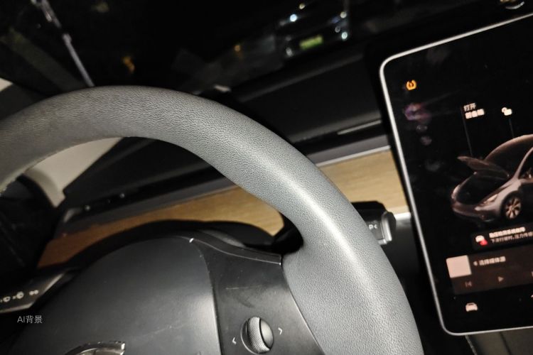 Tesla Model Y 2021 car image #13