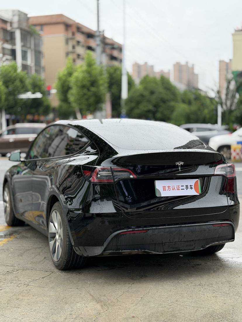 Tesla Model Y 2023 #6 Tesla Model Y 2023 car image #6