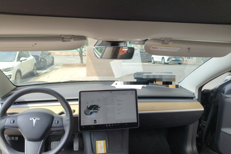 Tesla Model 3 2021 car image #20