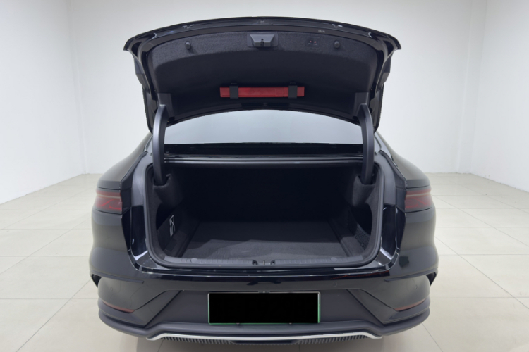 BYD Han 2024 car image #18