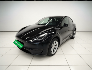 Tesla Model Y 2023 Tesla Model Y 2023 car image