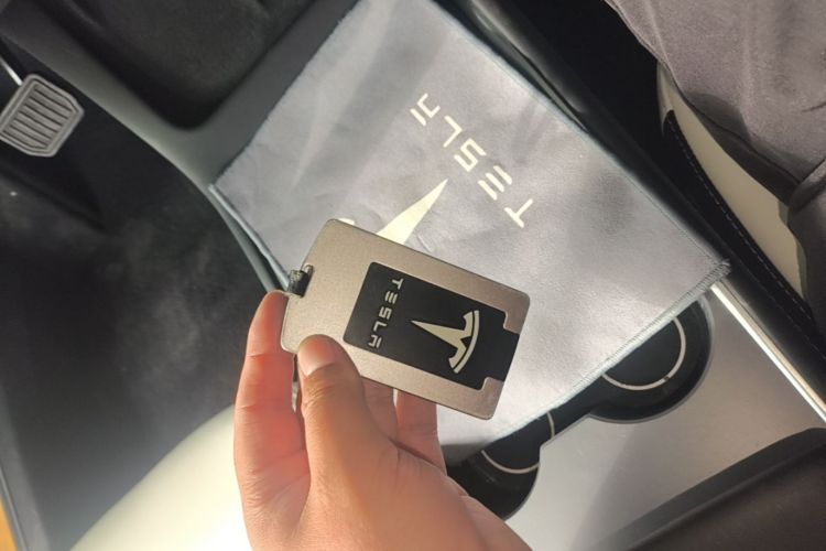 Tesla Model 3 2021 car image #9