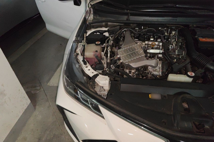 Toyota Corolla 2019 #24 Toyota Corolla 2019 car image #24