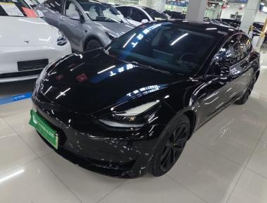 Tesla Model 3 2022 Tesla Model 3 2022 car image