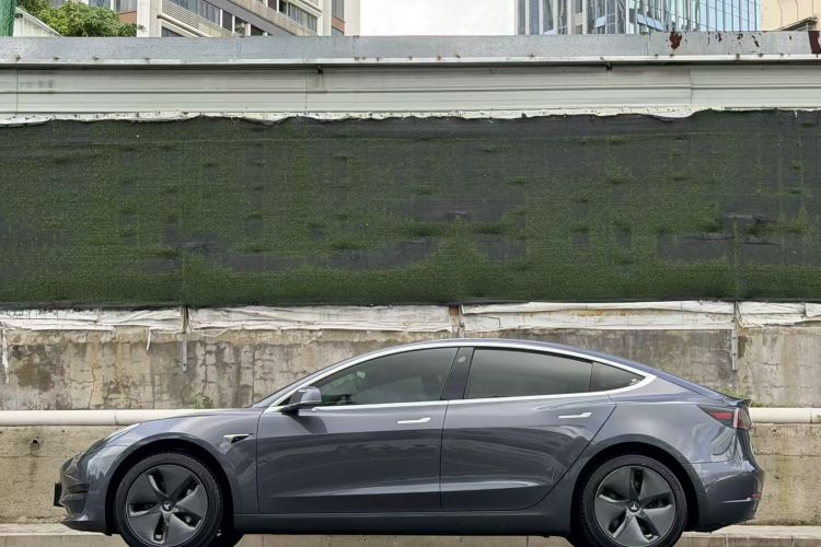 Tesla Model 3 2020 car image #3