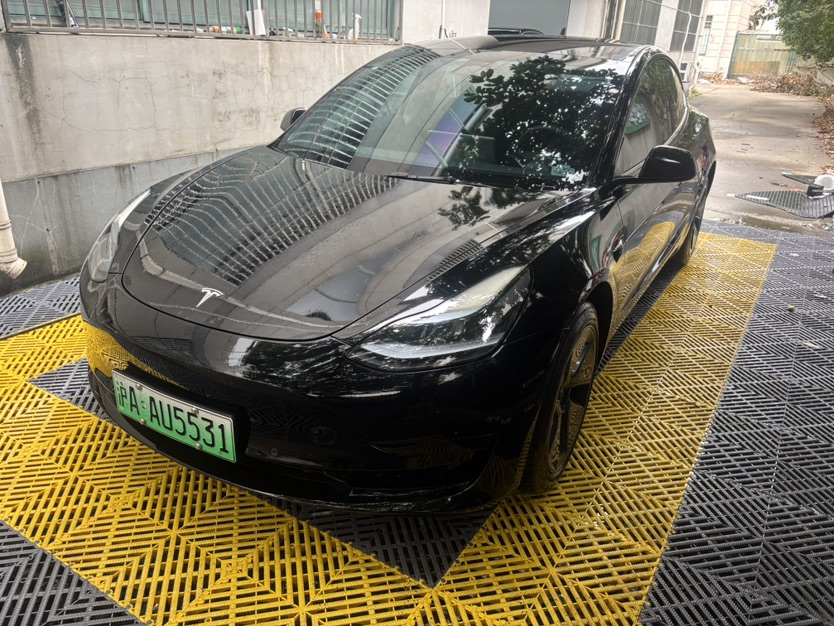 Tesla Model 3 2022 Tesla Model 3 2022 car image