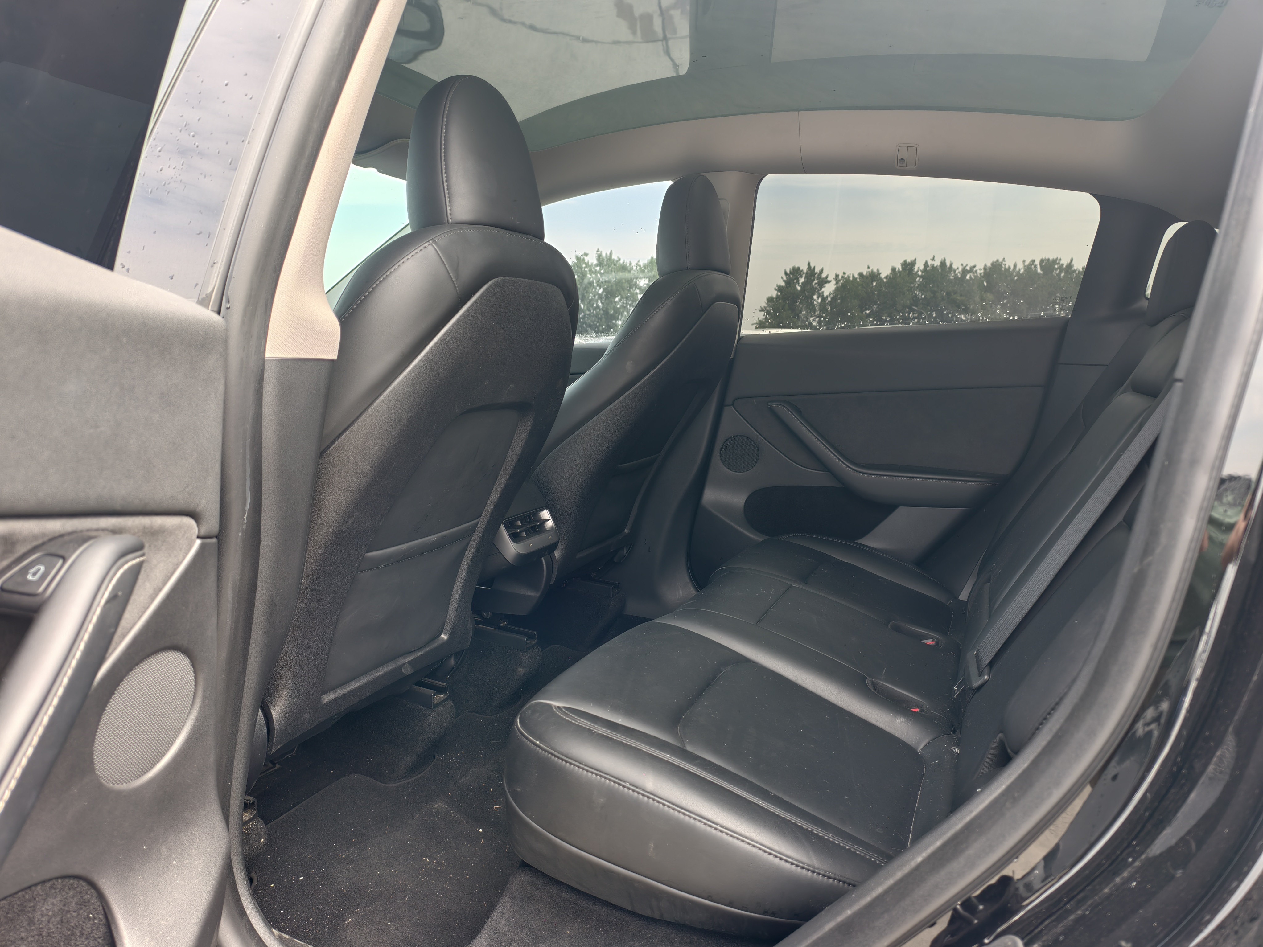 Tesla Model Y 2023 #12 Tesla Model Y 2023 car image #12