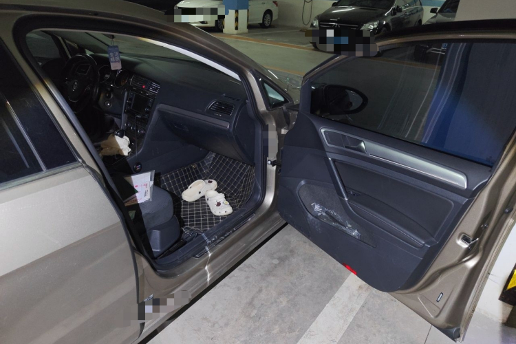 Volkswagen Golf 2018 car image #21