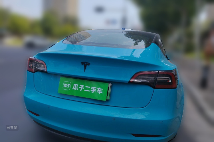 Tesla Model 3 2021 car image #6