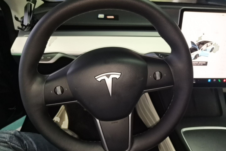 Tesla Model 3 2021 car image #11
