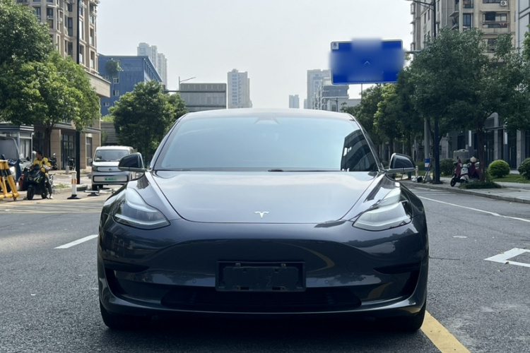 Tesla Model 3 2020 immagine di auto #3