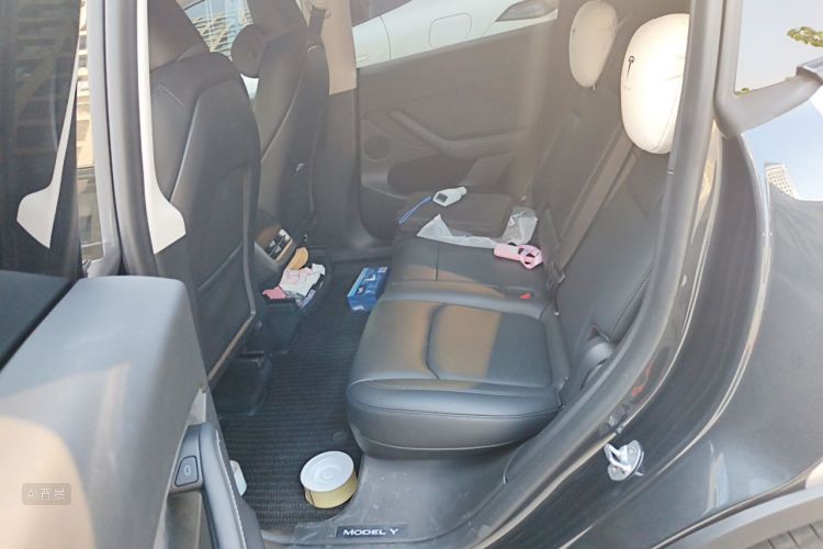 Tesla Model Y 2024 car image #19