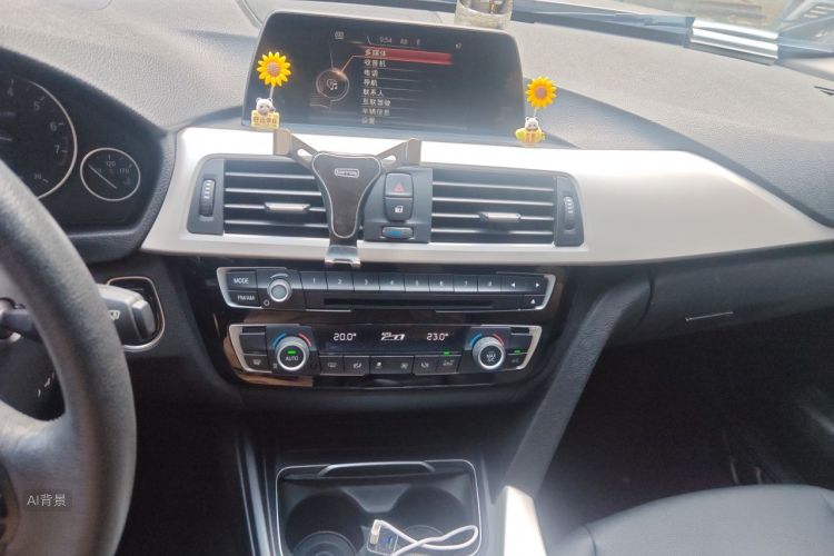 BMW 3 Series 2016 car image #15