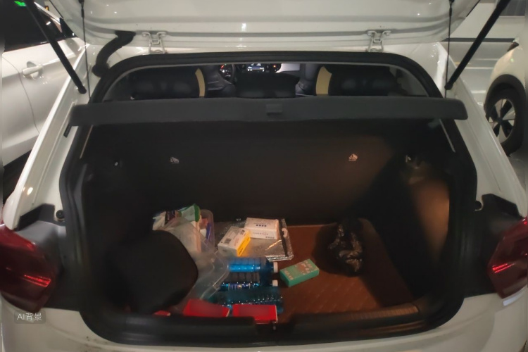Volkswagen Polo 2019 car image #21