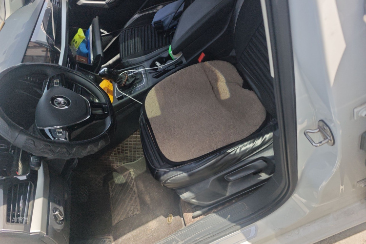 Volkswagen Lavida 2020 car image #17