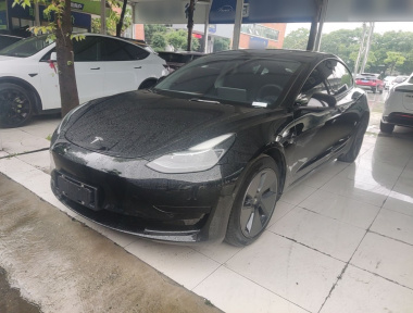 Tesla Model 3 2023 car image 