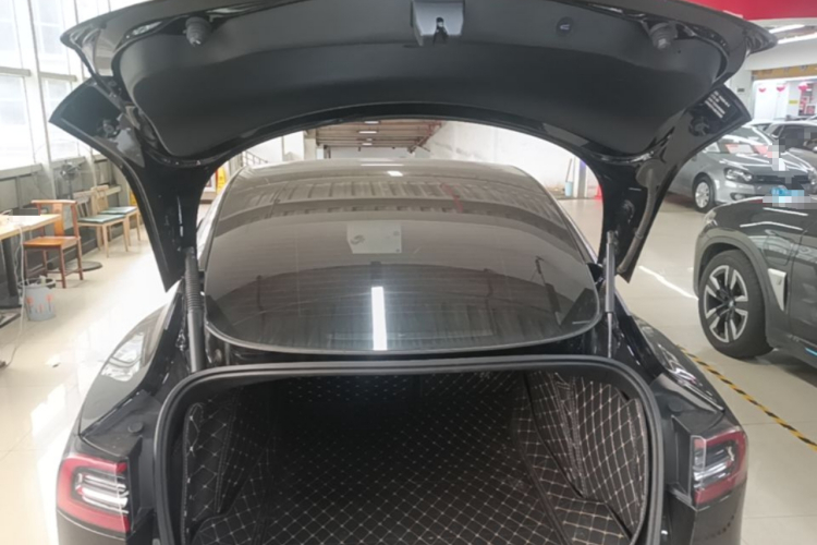 Tesla Model 3 2021 #21 Tesla Model 3 2021 immagine di auto #21