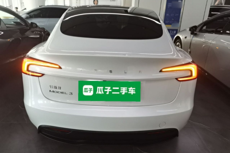 Tesla Model 3 2024 car image #6