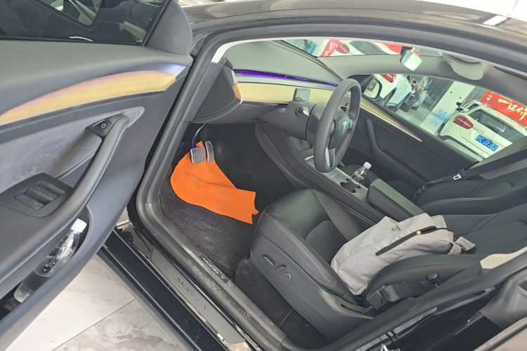 Tesla Model Y 2023 car image #16